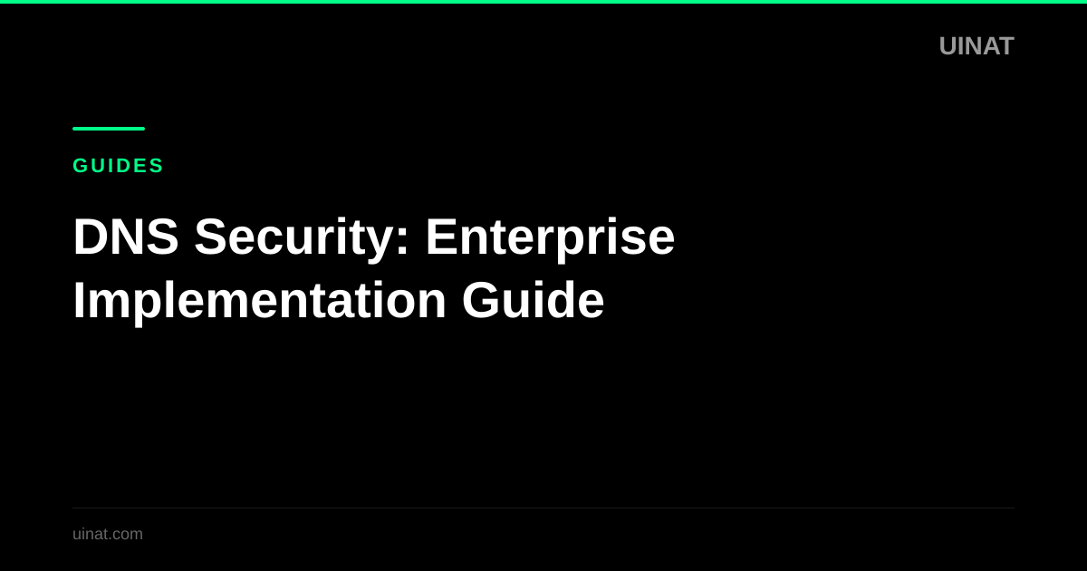 DNS Security: Enterprise Implementation Guide